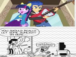 mlp sunlight meme imgflip