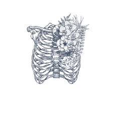 Widest selection of new & used books. Wild Flower Vintage Rib Cage Illustration Floral Anatomy Vector Royalty Free Cliparts Vectors And Stock Illustration Image 117361868