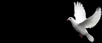 Margaret "Marge" Cecelia Hunt