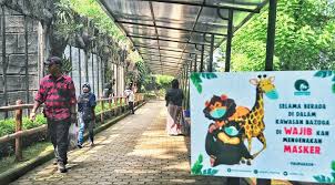 Foto di kebun binatang : Nasib Kebun Binatang Bandung Saat Pandemi Covid 19