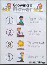Anchor Chart For Growing A Flower Great To Do Before