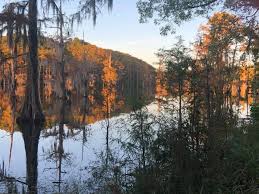 Profile for Delta Vacation Cabins