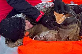 Tiny Kitten Keeps Owner Warm and Saves His Life During Mountain Journey