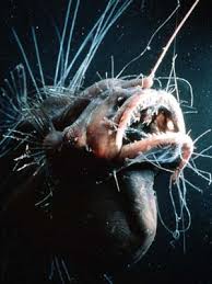 Good Thing There Is No Light In The Abyss This Is One Bad Hair Day Deep Sea Creatures Sea Creatures Ocean Creatures