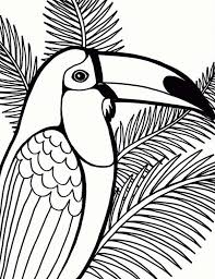 Green coconut works well as grass, yellow coconut makes a whimsical duck and blue or green can be used to make. Parrot On Coconut Tree Drawing Bird Coloring Pages Animal Coloring Pages Cartoon Coloring Pages