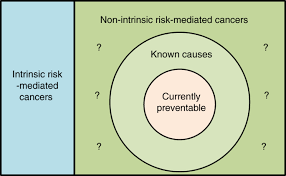 Understanding how your test results correlate to risk factors can help you make positive changes in your health habits for a longer and healthier life. Evaluating Intrinsic And Non Intrinsic Cancer Risk Factors Nature Communications