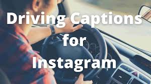 94 Picnic Captions For Instagram Statusandcaption