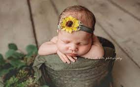 Newborn Sunflower Headband Photo Prop Fall Yellow Flower Baby Etsy
