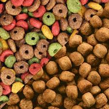 Connect with friends, family and other people you know. All About Dog Food Types Of Dog Food