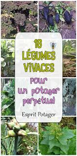 Epingle Sur Jardinage