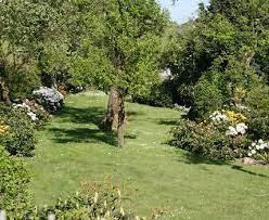 Beim anlegen solcher wege sollten sie mit bedacht vorgehen und sich vorher genau überlegen, wie die gartenwege am ende liegen sollen. Gartenplanung Wie Man Garten In Raume Einteilt Living At Home