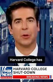 Organic Growth for AI SaaS