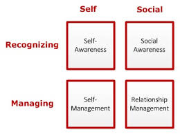 emotional intelligence identify and manage emotions