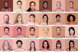 the pantone chart of every human skin color