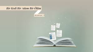 Bir Kedi Bir Adam Bir Olum By Omer Erdin