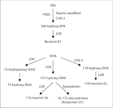 The environmental protection agency is an independent executive agency of the united states federal government tasked with environmental pro. The Metabolic Pathways For The Conversion Of Epa And Dha To Resolvins Download Scientific Diagram
