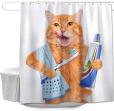 Explore a range of wastebaskets, toothbrush holders, soap dishes and containers to refresh your bathroom. Amazon Com Colorful Star Funny Shower Curtain With Hooks For Kids Bathroom Polyester Fabric Waterproof Decorative Bath Curtain Sets Bathroom Accessories 72 X72 Cat Brushing Teeth Home Kitchen