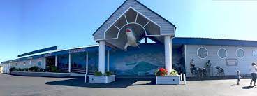 The attraction is a converted barge that contains a sea life environment complete with a host of sea life including sharks. Not A Bad Small Aquarium Review Of Ocean World Crescent City Ca Tripadvisor