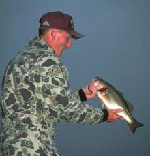 That's usually true in clear water, but if the water dirties, the fish move shallower. Cold Water Bass Patterns For Millers Ferry Fishingbama