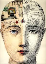 A Phrenology Head To Love Content In A Cottage Art Phrenology Head Phrenology