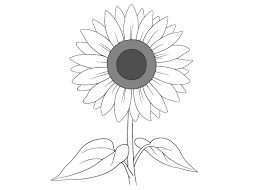 We did not find results for: Easy Drawing Tutorials For Beginner Intermediate Artists