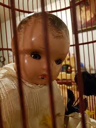 Ohhh the looks I got walking around with this after I purchased it today.