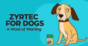 Zyrtec For Dogs A Word Of Warning Simple Wag