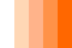 What is the best color that goes with orange? Orange Light Color Palette