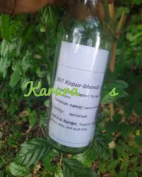 Image result for Turraea holstii