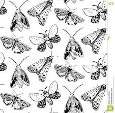 Black And White Insect Drawings Moth Seamless Pattern Hand Drawn Illustration Of Flying Insects Bugs Drawing Insect Art Moth Illustration