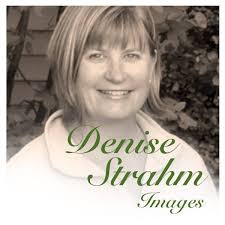 Denise Strahm Images