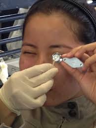 Image result for Entomology Studies