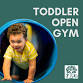 Toddler Open Gym event image