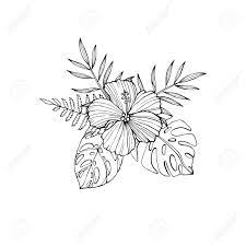 Check spelling or type a new query. Tropical Flowers Hibiscus Protea Plumeria Bird Of Paradise Royalty Free Cliparts Vectors And Stock Illustration Image 93056428