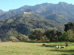 8,983 likes · 6 talking about this. Photos Visages Paysages De Kabylie Kabylie Djurdjura