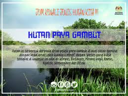 Di artikel kali ini akan dibahas mengenai fauna di malaysia. Facebook