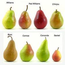 Les Varietes De Poires Poire Variete De Poire Alimentation