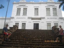 Centro de referência em pesquisa biomédica, o instituto fica próximo à estação butantã do metrô. Instituto Butantan Picture Of Butantan Institute Sao Paulo Tripadvisor