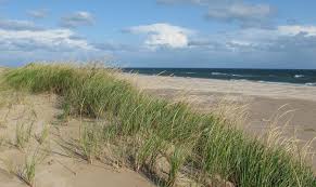 Sandy Hook Iles De La Madeleine Sandy Hook Beach Outdoor