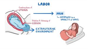 Image result for Non-Pharmacologic Pain Control in Labor