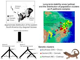 Genes Free Full Text Patterns Mechanisms And Genetics