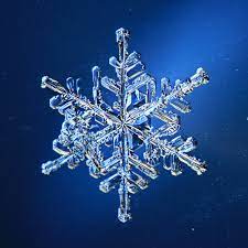This has nothing to do with politics. Snowflake Not What You May Think It Is