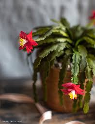 Learning how to make a topiary is a time consuming hobby. How To Make A Crepe Paper Christmas Cactus Lia Griffith
