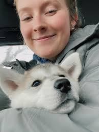 I've been in this group for a while and loving seeing all these cute  huskies so I decided to post my sweet girl 🥰 this is Aspen, she's 4 months  old and