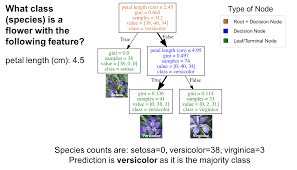 Visualizing Decision Trees With Python Scikit Learn Graphviz Matplotlib Decision Tree Learning Methods Data Science