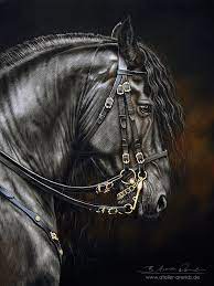 Frisian Horses Horse Drawings Horse Art