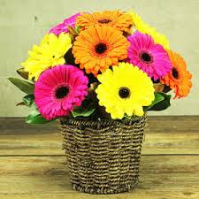 This means flower wholesalers can really keep costs low for local sydney florists, and it is the local. Flowers Delivery Sydney Same Day Flowers For Everyone