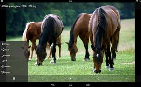 The minimum system is on. Oculta Imagenes Hide It Pro For Android Apk Download