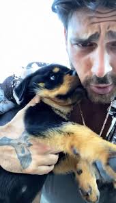 Pin By Etalia Shea Mckinley On Massimo Torricielli Michele Morrone In 2020 Michele Cute Animals Pets