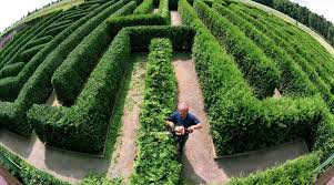 Ein schöner garten, in dem man sich gerne aufhält, entspannen und mit freunden und der familie herrliche zeiten verleben kann. Gartenarbeit Begrenztes Heckenschnittverbot Ab Marz Nordkurier De